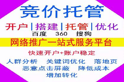 落地页在SEM优化中的重要性及成功案例